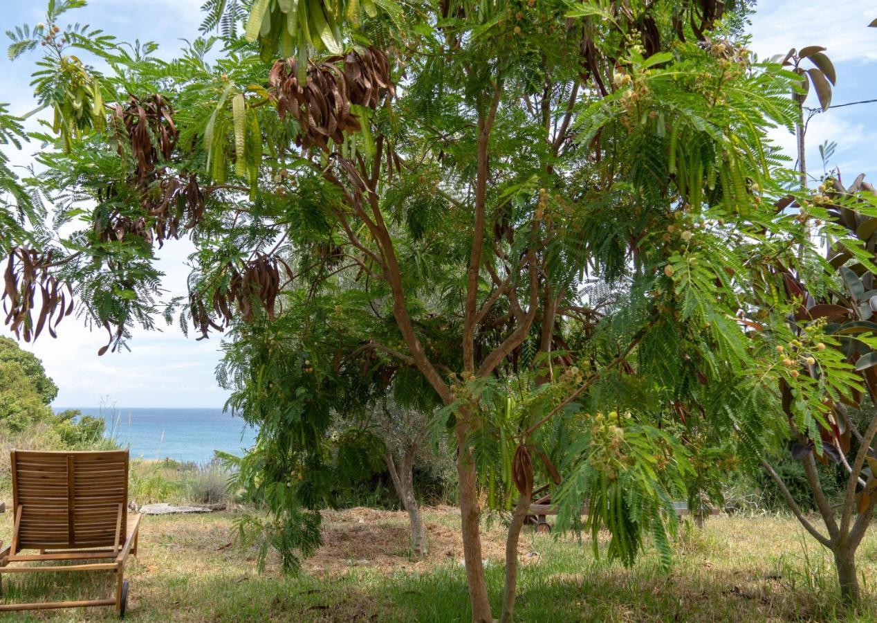 Kalamies - Secluded Beach Apartments Skala (Kefalonia) Exterior foto