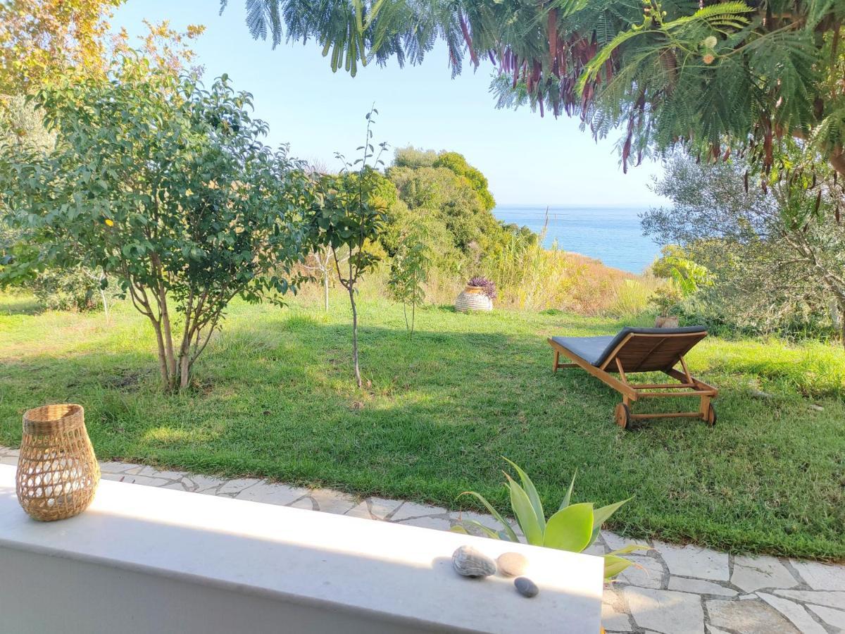 Kalamies - Secluded Beach Apartments Skala (Kefalonia) Exterior foto