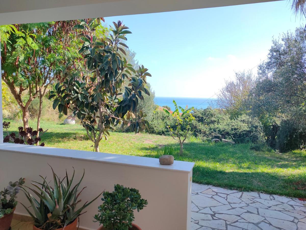 Kalamies - Secluded Beach Apartments Skala (Kefalonia) Exterior foto