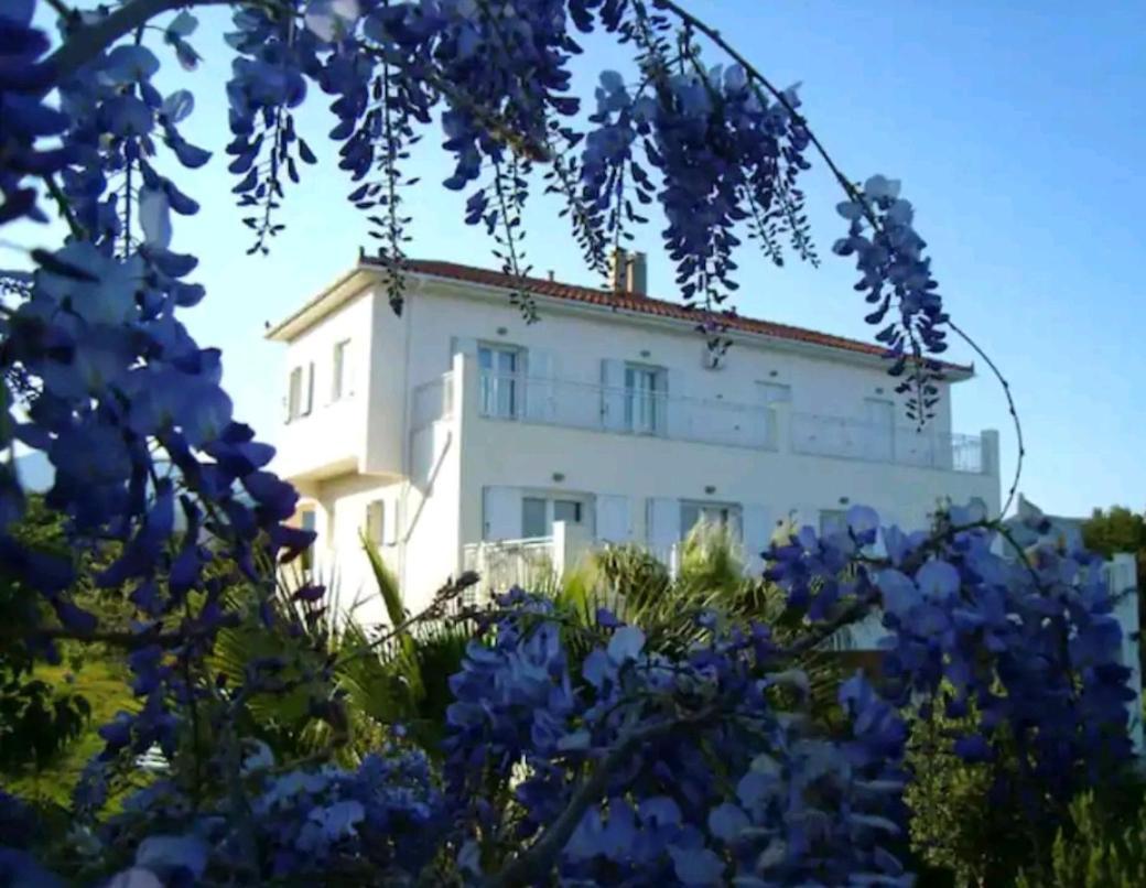 Kalamies - Secluded Beach Apartments Skala (Kefalonia) Exterior foto