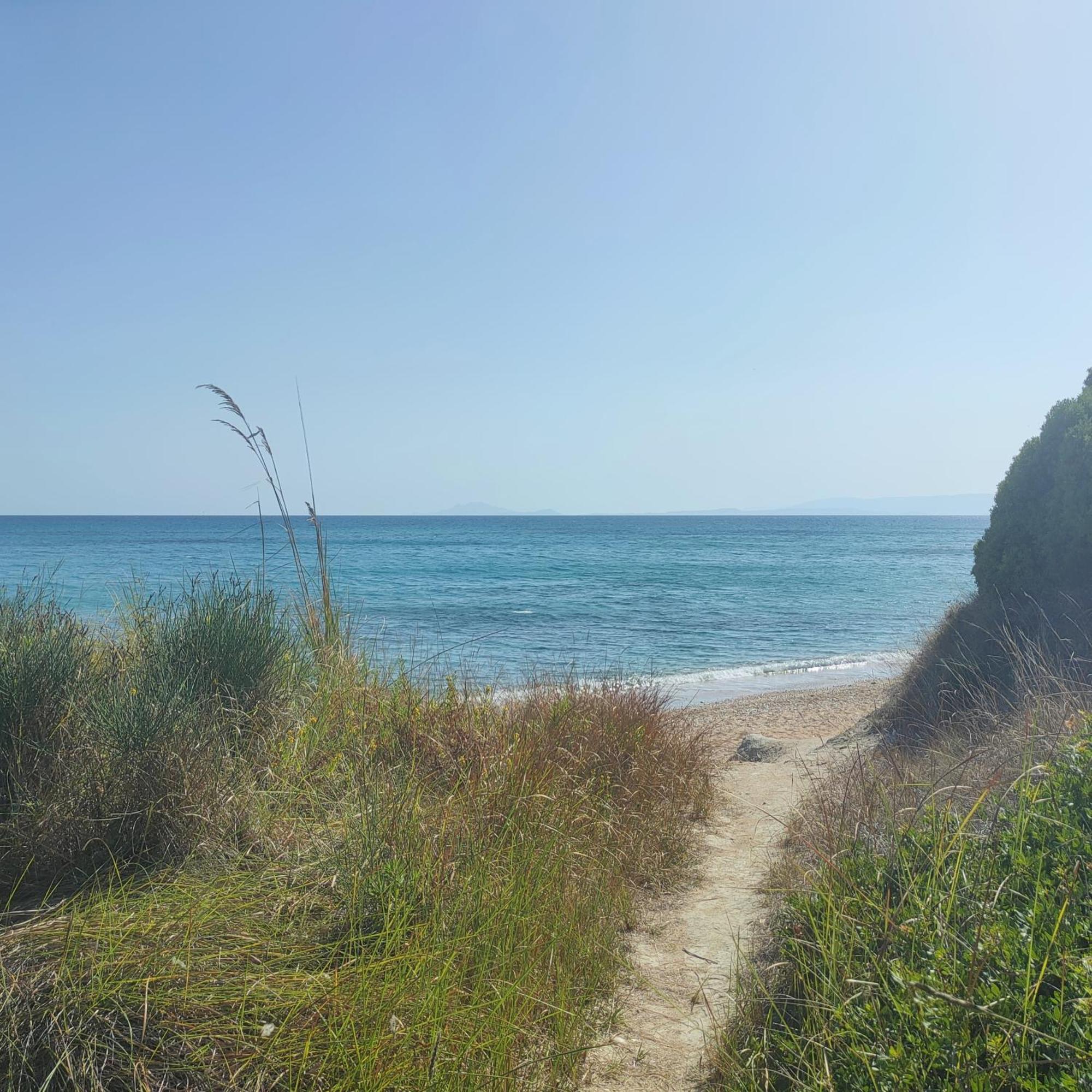 Kalamies - Secluded Beach Apartments Skala (Kefalonia) Exterior foto