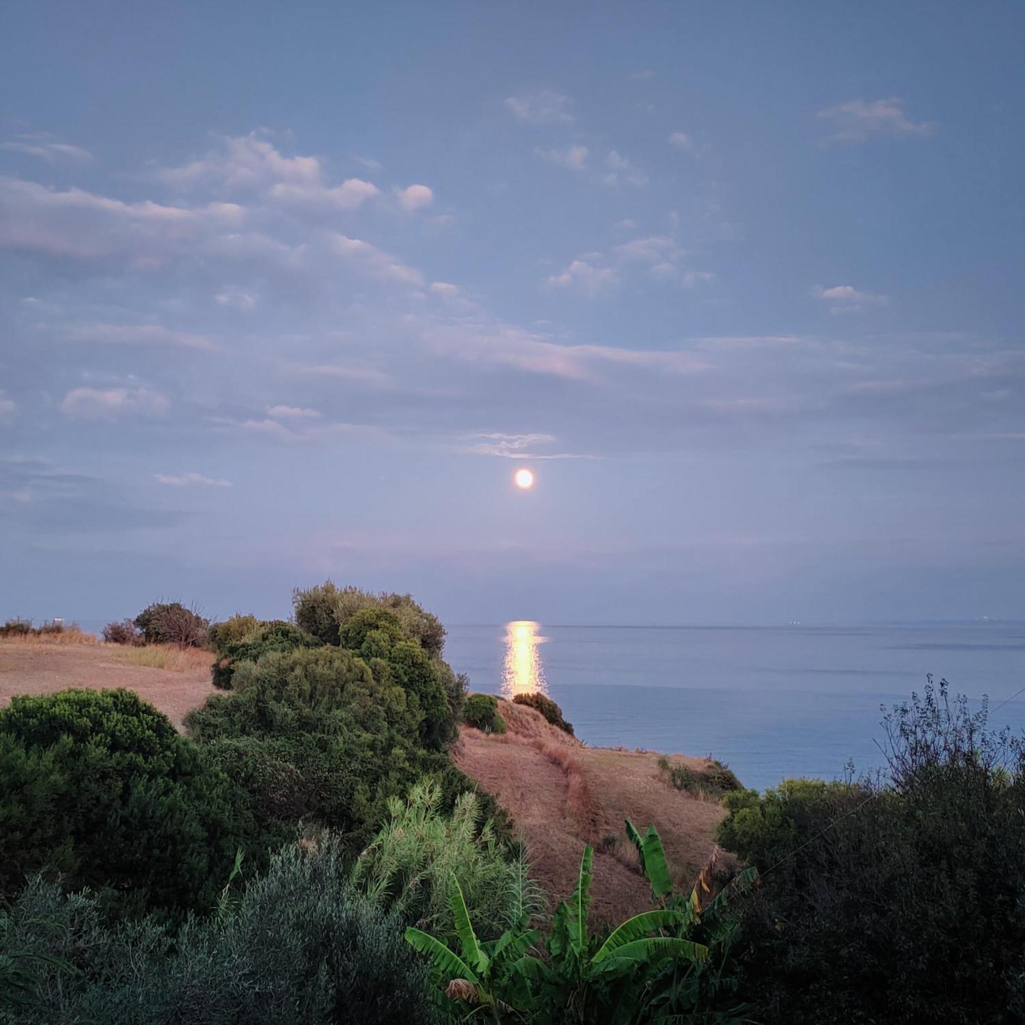 Kalamies - Secluded Beach Apartments Skala (Kefalonia) Exterior foto