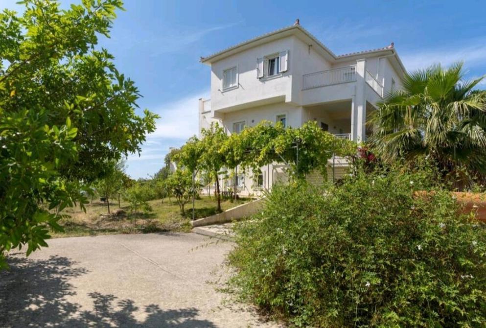 Kalamies - Secluded Beach Apartments Skala (Kefalonia) Exterior foto